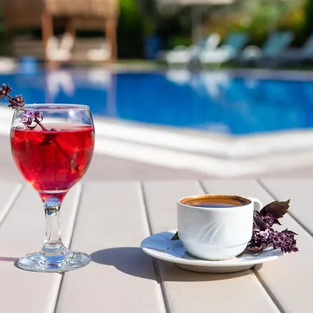 ホテル Karaincir Datca 3*