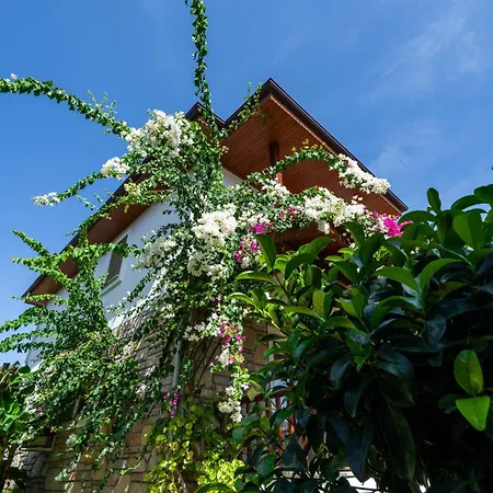 Karaincir Datca 3*
