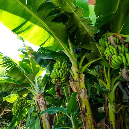 Szálloda Karaincir Datca 3*