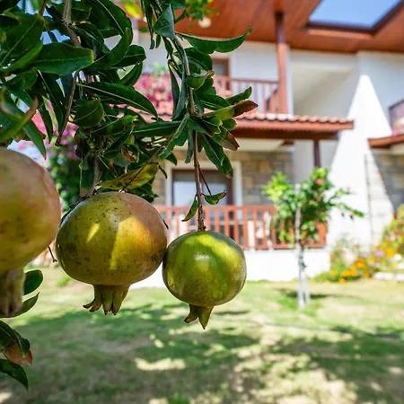 Karaincir Datca