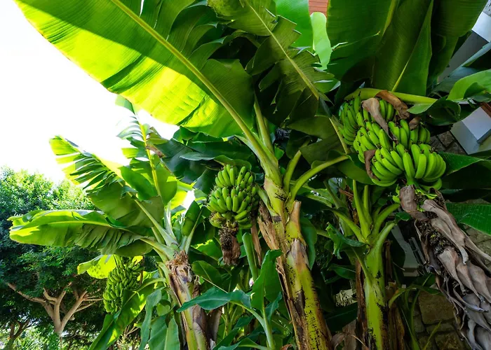 Ξενοδοχείο Karaincir Datca 3*